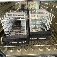 Memmert UN110 Convection Oven image 1